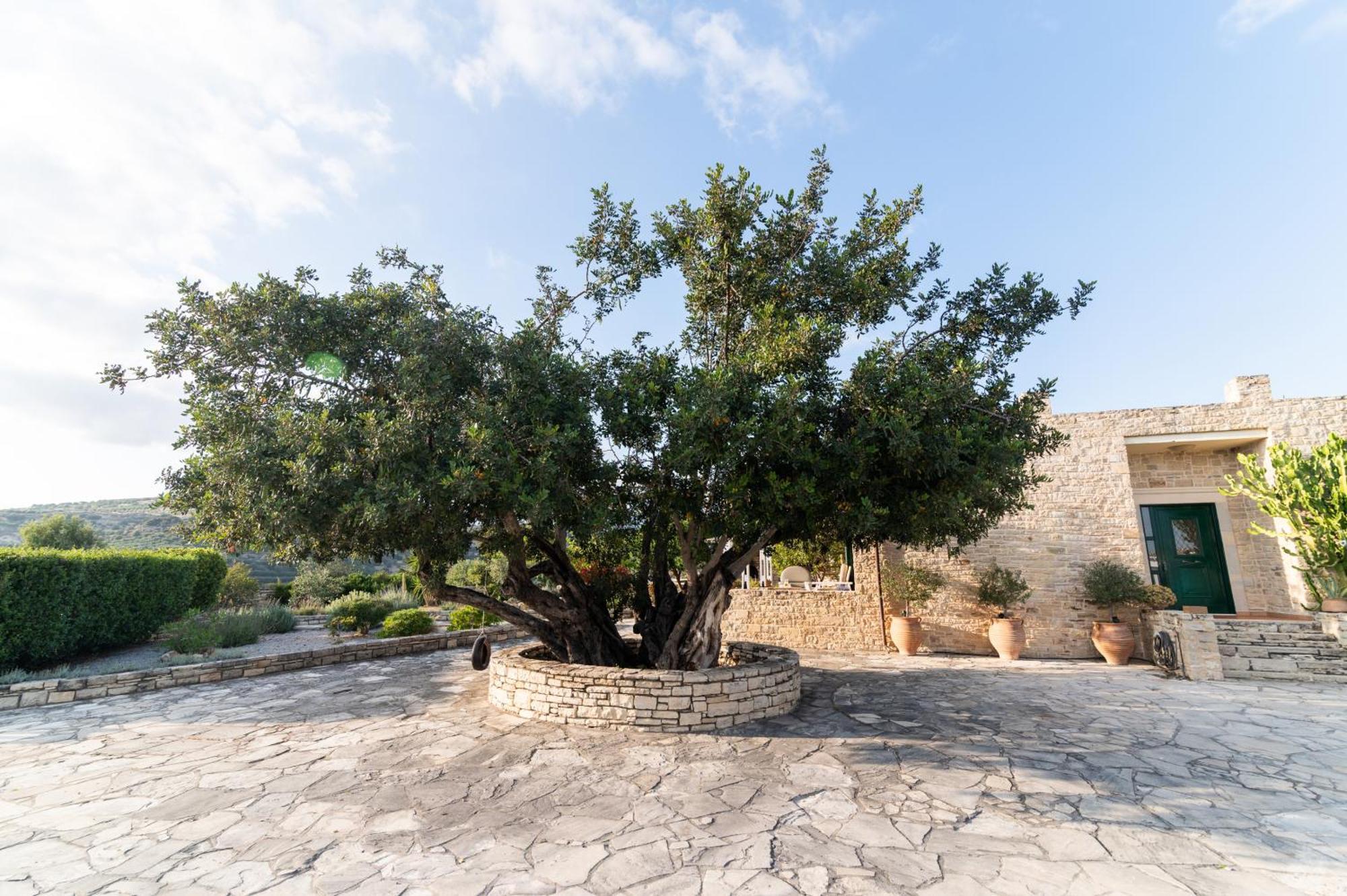 Carob Villa Μοίρες Εξωτερικό φωτογραφία