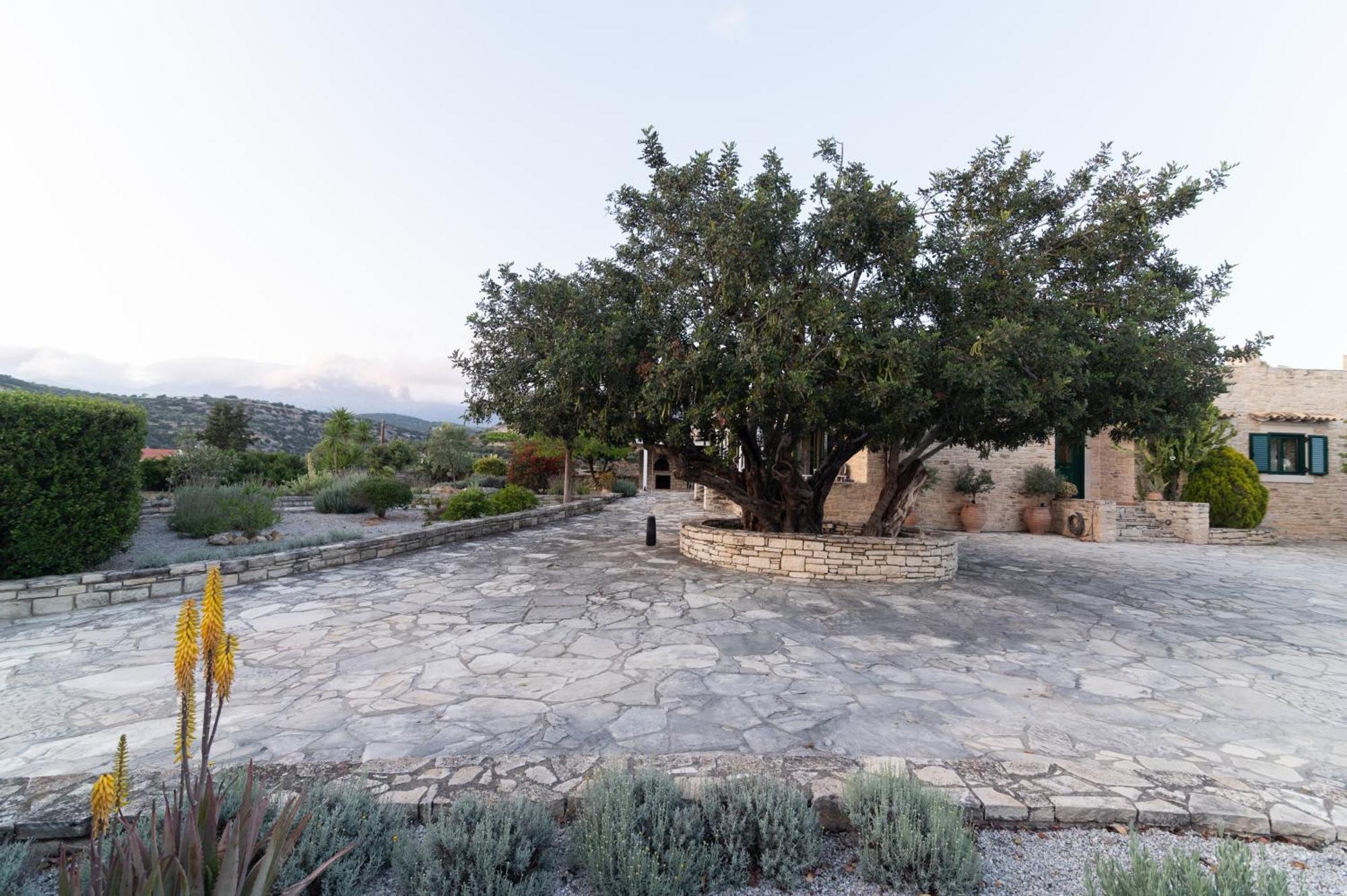 Carob Villa Μοίρες Εξωτερικό φωτογραφία