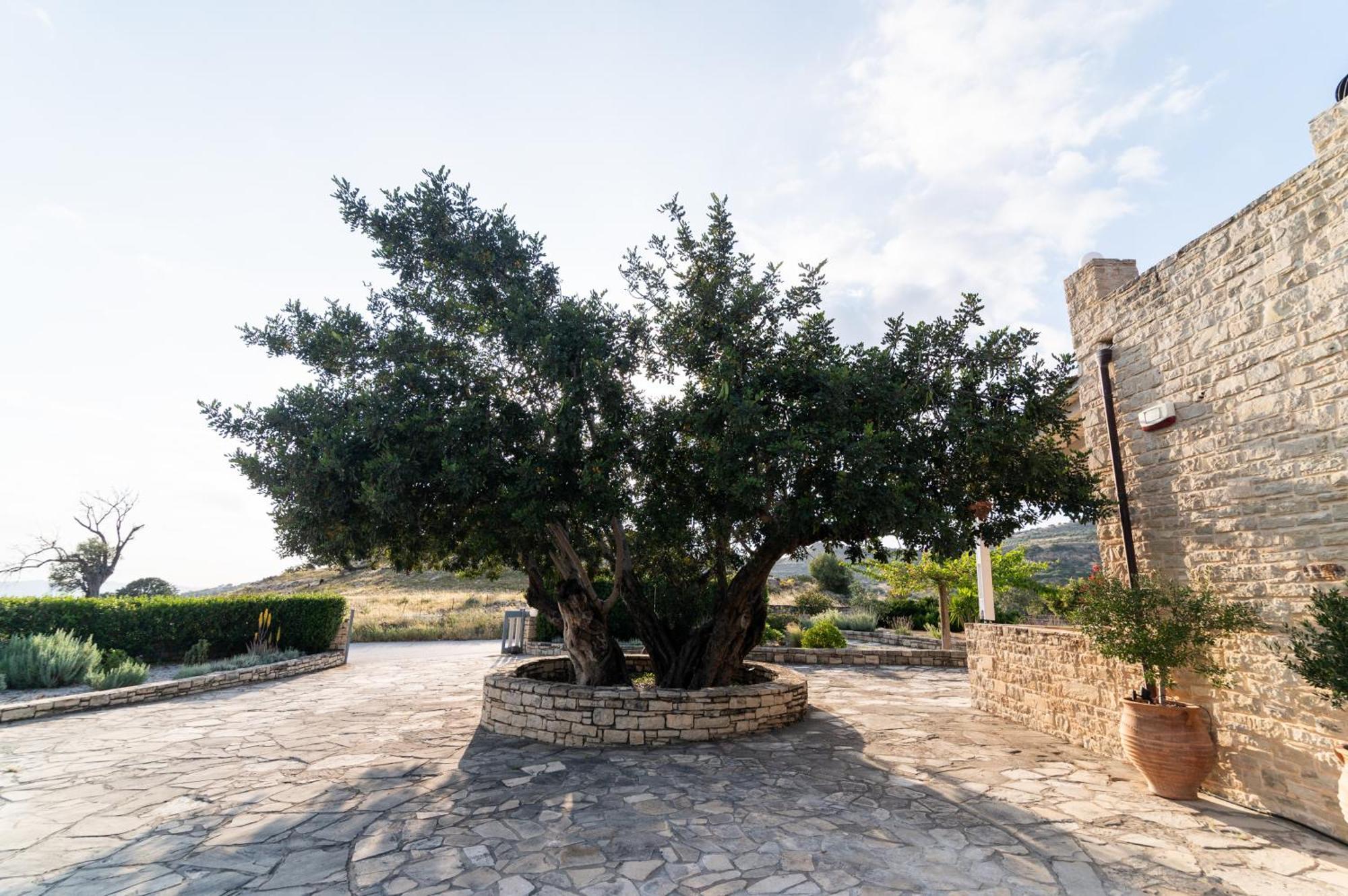 Carob Villa Μοίρες Εξωτερικό φωτογραφία