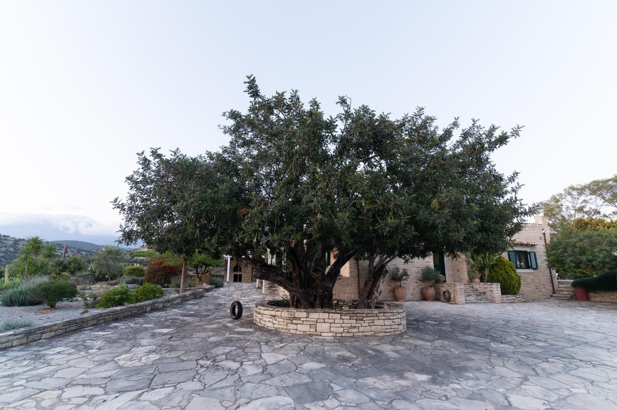 Carob Villa Μοίρες Εξωτερικό φωτογραφία
