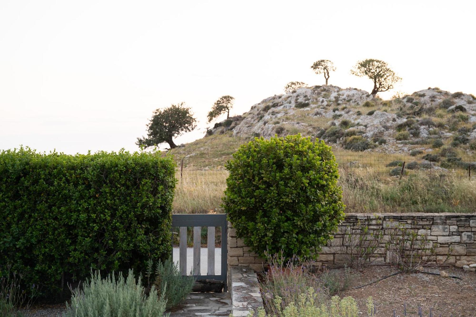 Carob Villa Μοίρες Εξωτερικό φωτογραφία
