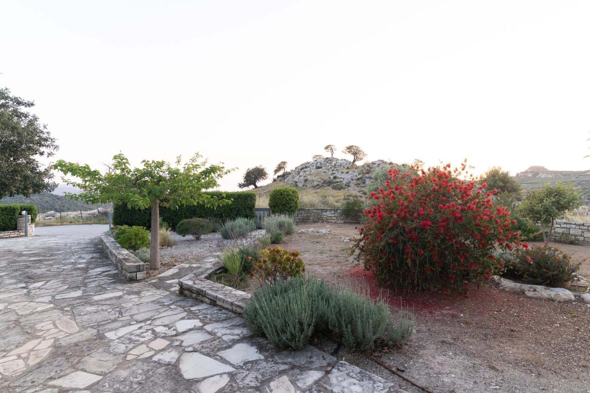 Carob Villa Μοίρες Εξωτερικό φωτογραφία