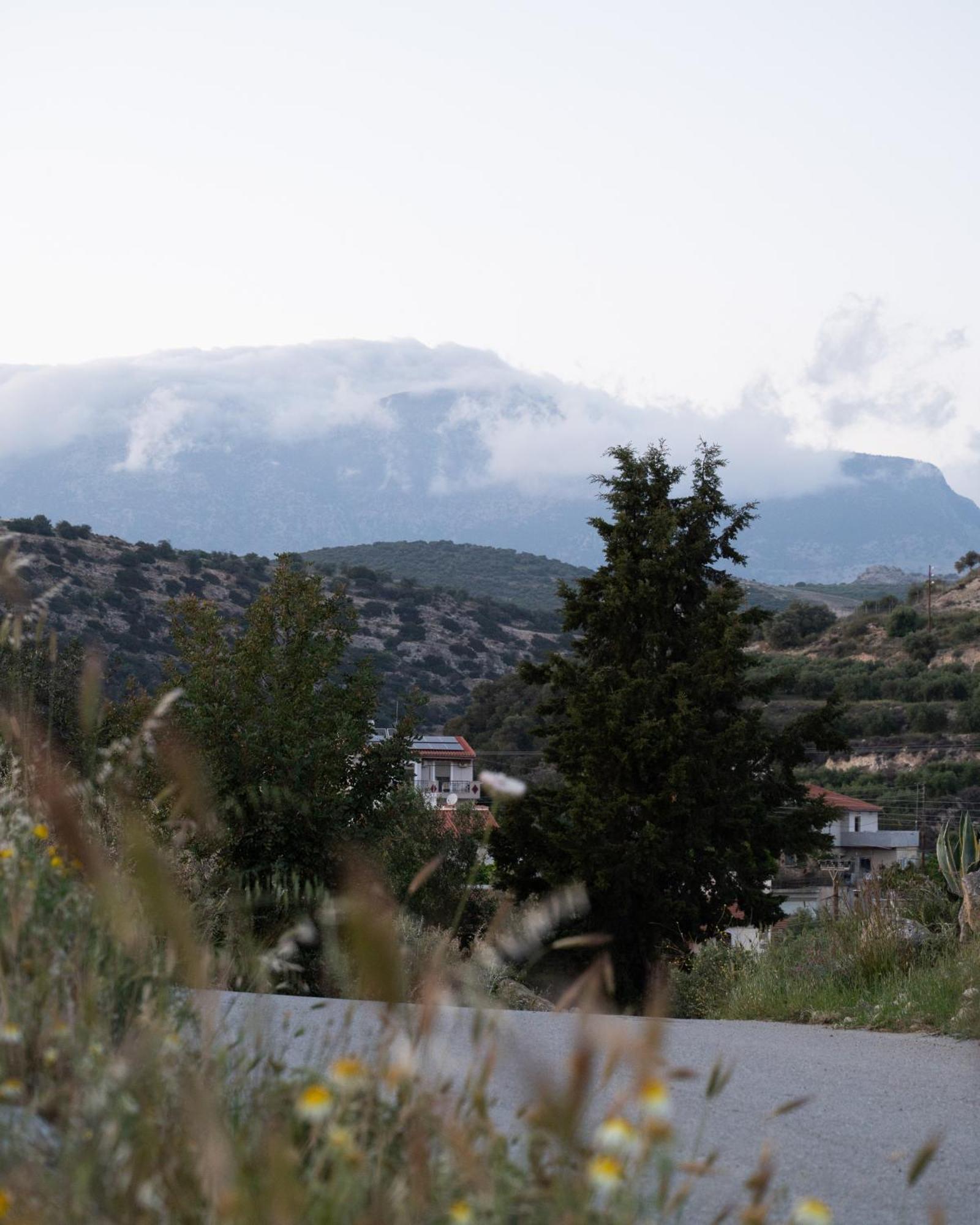 Carob Villa Μοίρες Εξωτερικό φωτογραφία